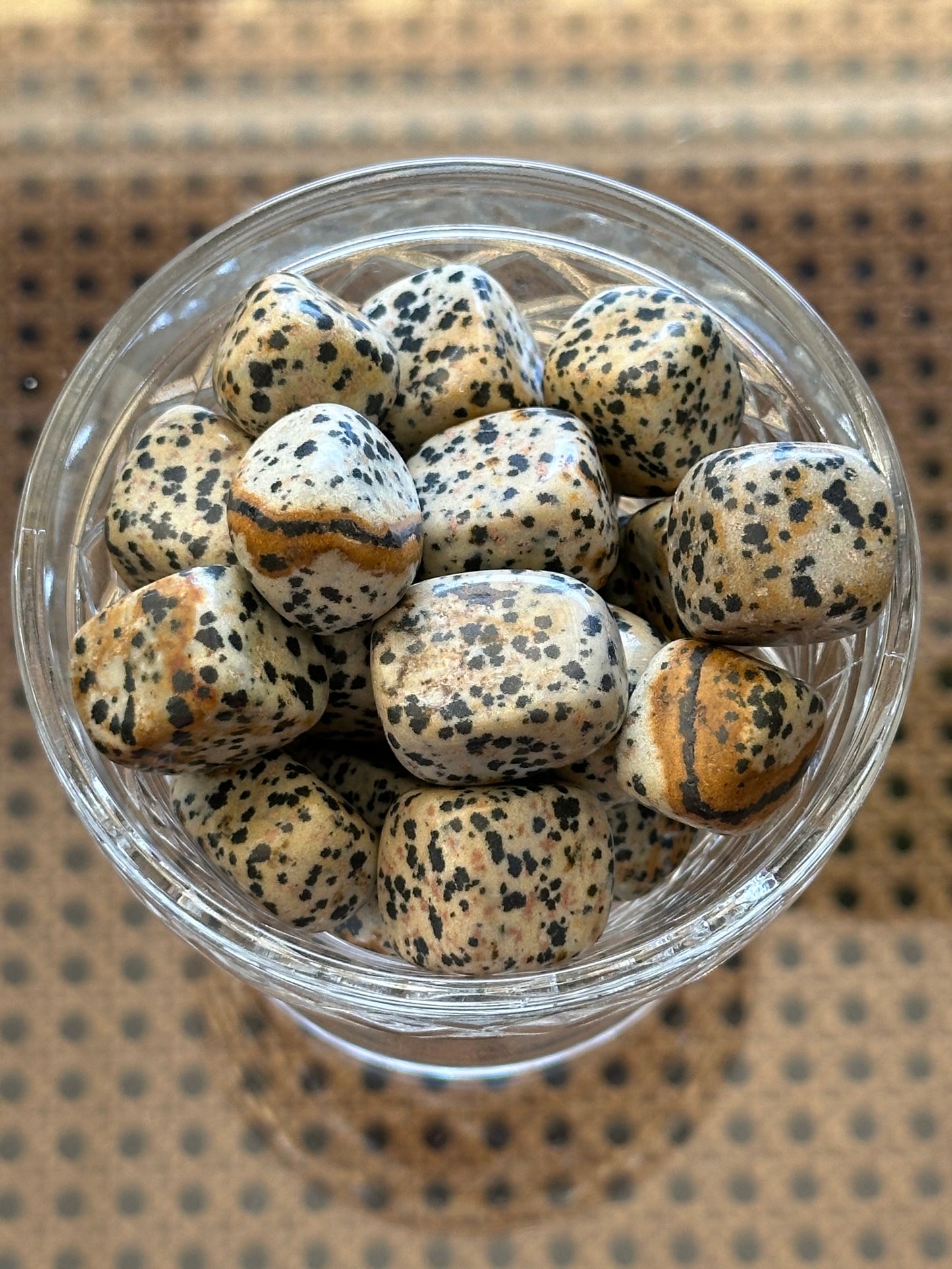 Dalmatian Jasper Tumble