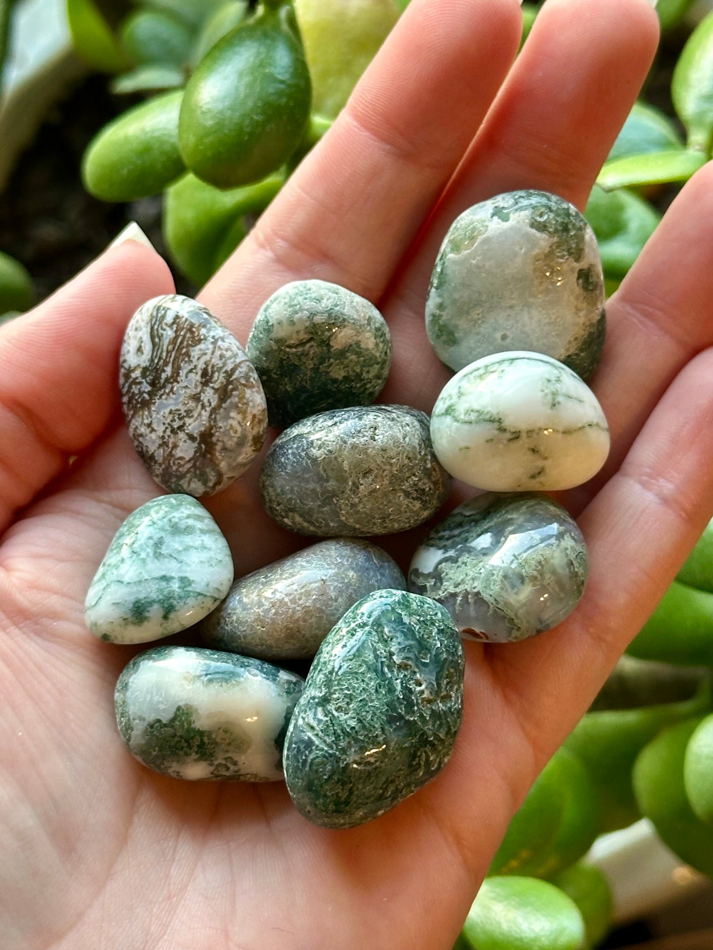 Moss Agate Tumble