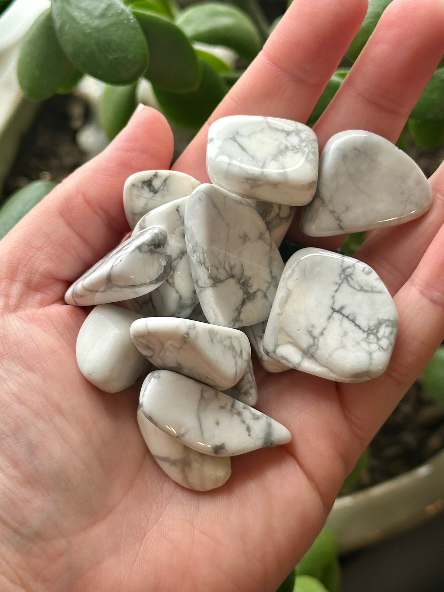 Howlite Tumble Small